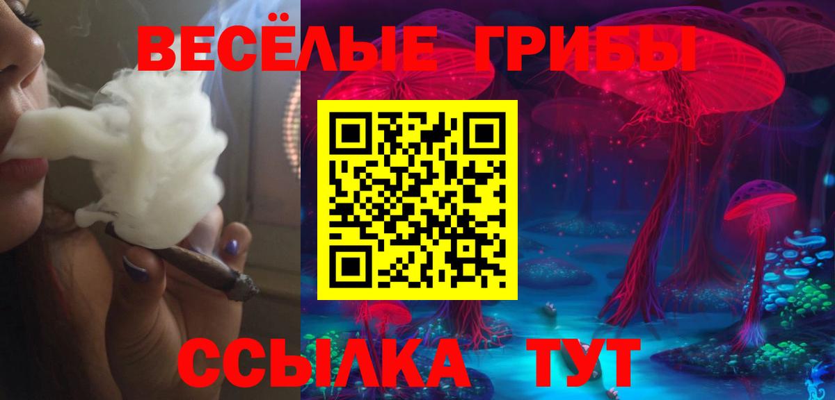 Саратов  Псилоцибиновые грибы Cubensis  Псилоцибиновые грибы GOLDEN TEACHER  Вход с VPN 